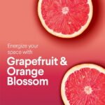 Clorox Scentiva Bleach-Free Multi-Surface Cleaner Spray, Grapefruit & Orange Blossom, 32 fl oz - Image 3